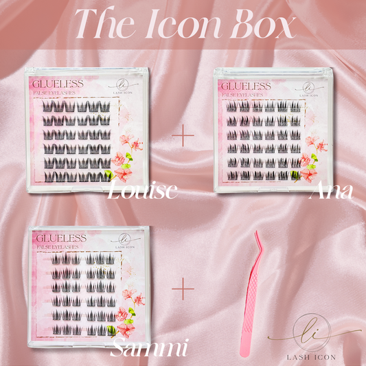 The Icon Box